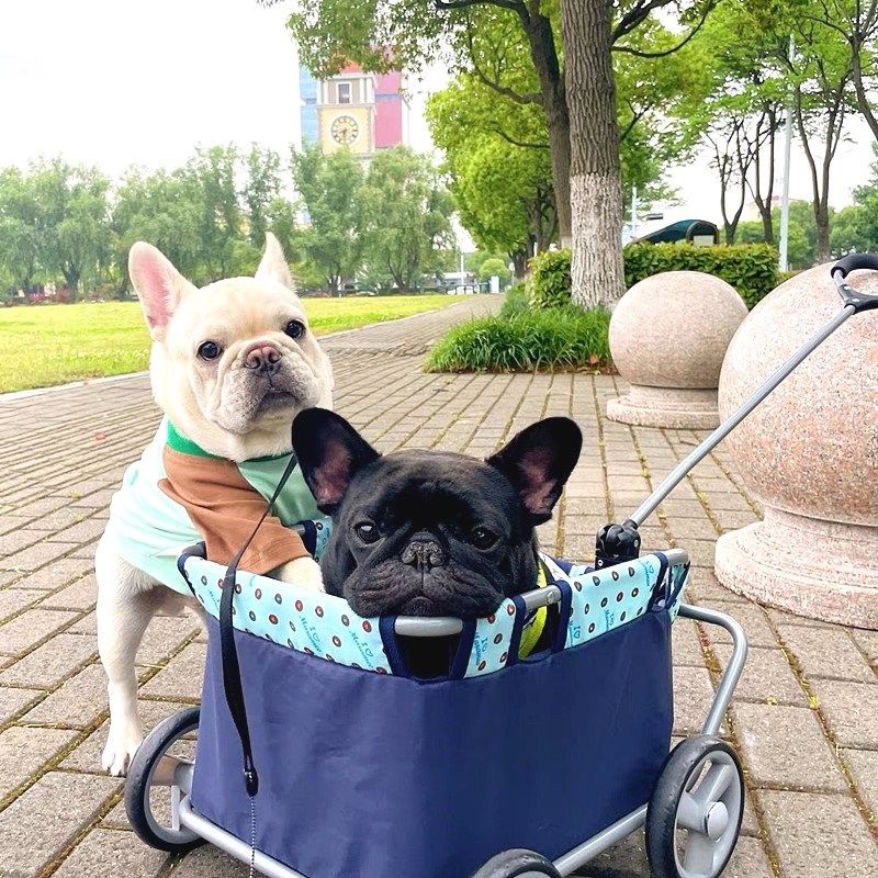 小型犬狗狗宠物推车外出拉杆车折叠遛狗代步泰迪法斗比熊轻便出行,宠物/宠物食品及用品,宠物推车,淘宝优惠券,粉丝福利购,淘宝优惠卷