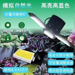 全光谱植物补光多肉水草鱼缸热带绿植发财树盆栽生长灯落地光照灯