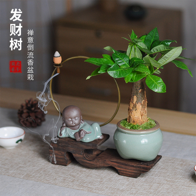 发公树室内小盆栽辫子发财禅创意倒流香树意摆件小盆景办财桌书房