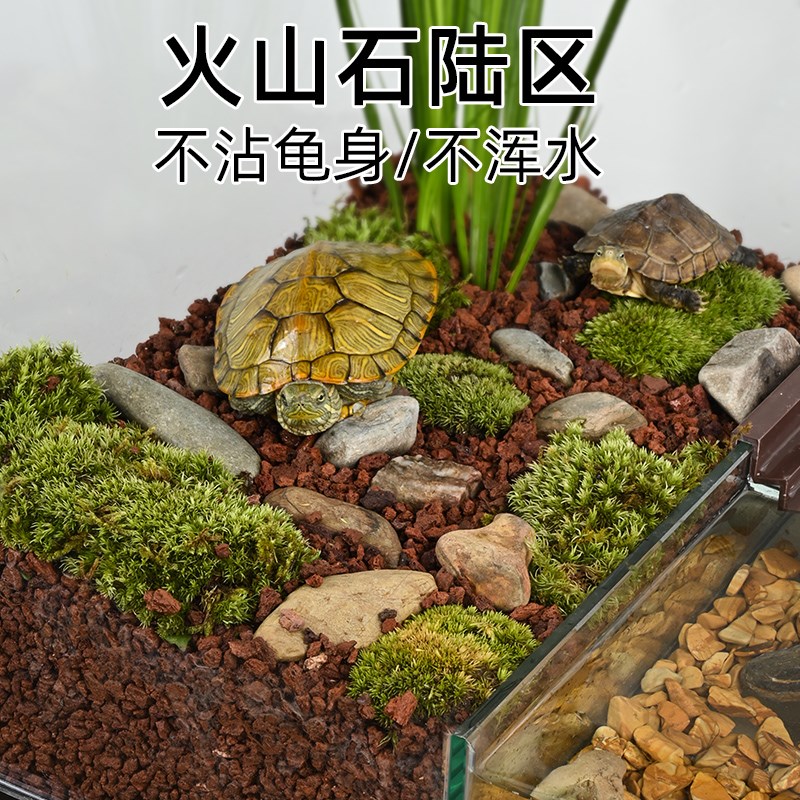 乌龟饲养玻璃缸巴西草龟水陆两栖A生态造景缸带盖子防逃底排水大