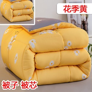 被子冬被加厚保暖春秋被芯太空被棉被褥单人双人冬季 太空被