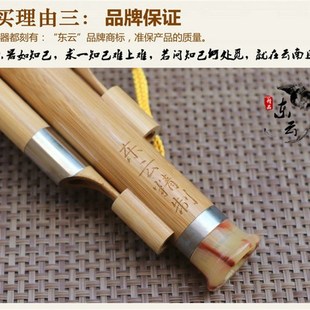 东云葫芦丝乐器初学专业演奏黄金玉竹紫竹FG调葫芦丝