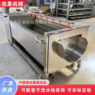 大型地瓜去皮清洗机红薯硬毛辊去皮清洗机全自动小型食堂土豆毛刷