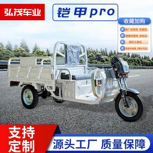 全新家用电动三轮车载重王加大货厢变档磁动力电机一体四折边钢板