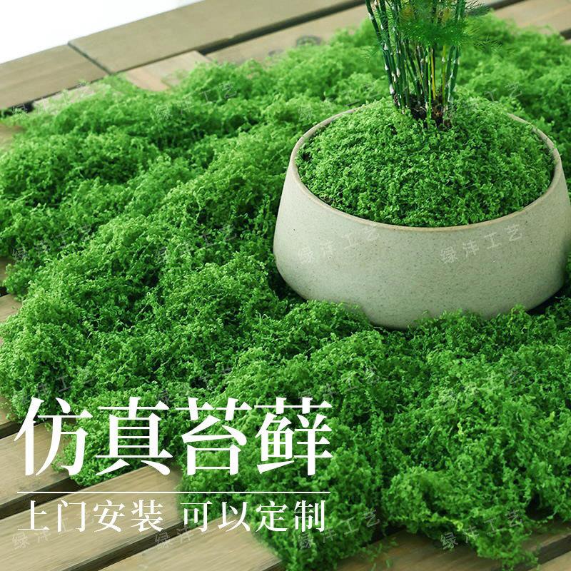 仿真苔藓丝仿生草皮人造假青苔藓微景观摆件草坪盆景盆栽铺面造景
