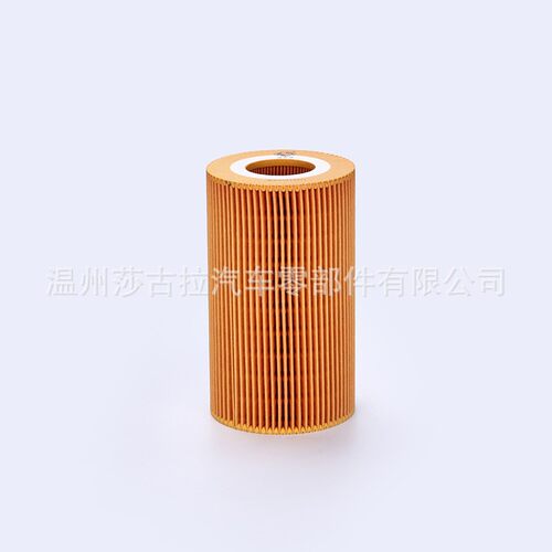 适用纳威司达江淮帅铃H380江淮格尔发KGL原件8000315C1机油滤清器