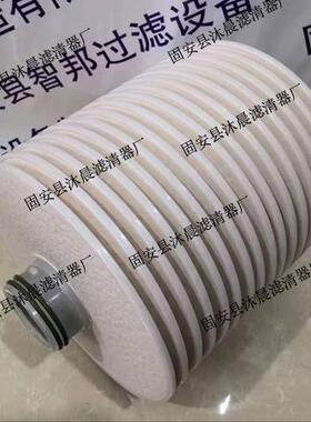 N15DM002  N15DM010/005/020/030精密叠片离线式滤油机滤油器滤芯