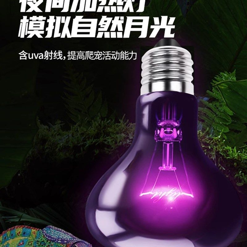 UVA夜间加温加热保温夜灯爬虫爬宠鸟箱陆龟守宫鬃狮蜥蜴恒温箱,宠物/宠物食品及用品,爬宠灯具,淘宝优惠券,粉丝福利购,淘宝优惠卷
