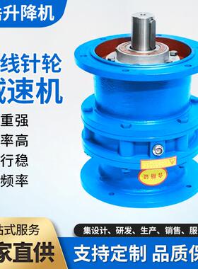 针轮减速机BWD/BLD卧式立式减速器国标减速机摆线真轮减速机