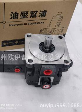 ELITE油泵VP-40+SVP-30+SVP-30+PAVP-40+PA液压油泵ALITE