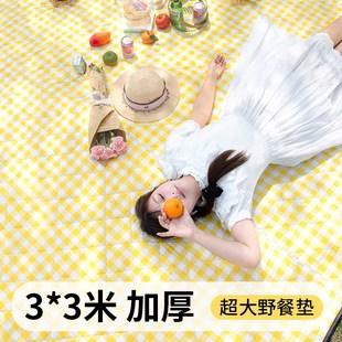 3米野餐垫防潮垫加厚超大号户外露营帐篷地垫春游草地加大垫子
