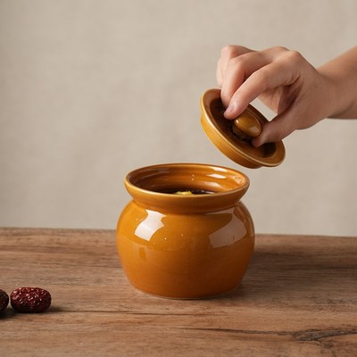 舍里带盖瓦罐汤炖盅家用汤罐蒸盅煨汤盅陶瓷炖罐S一人份小炖盅坛