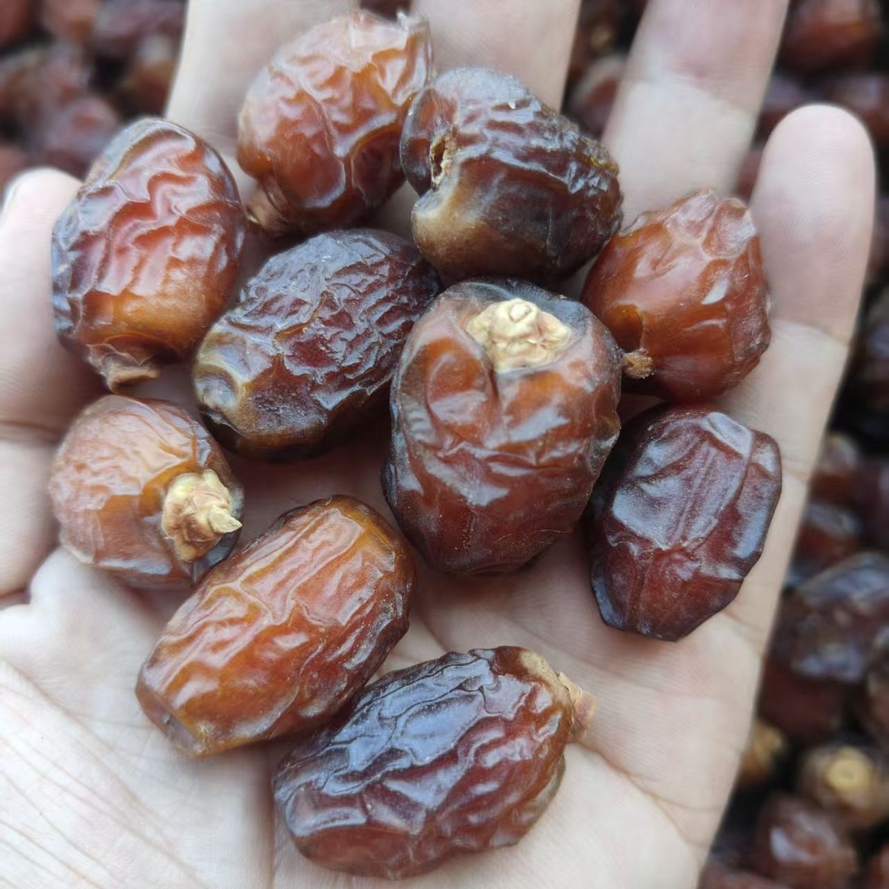 沙特椰枣正宗沙特小椰枣自然晾晒当季新货纯水果干风干休闲零食