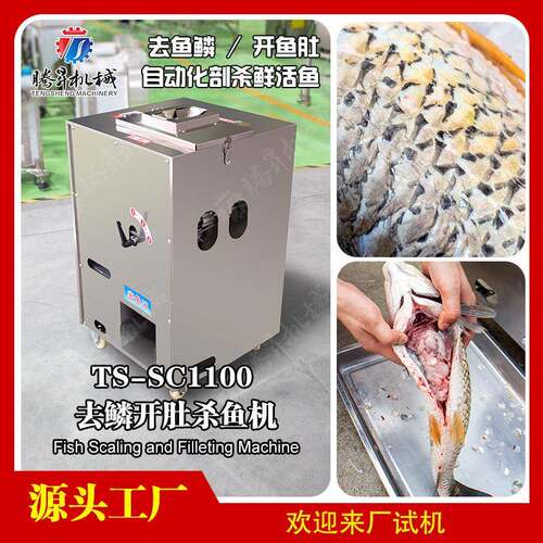全自动杀鱼机 商用菜市场超市开肚去鳞多功能杀鱼机 厂家直供