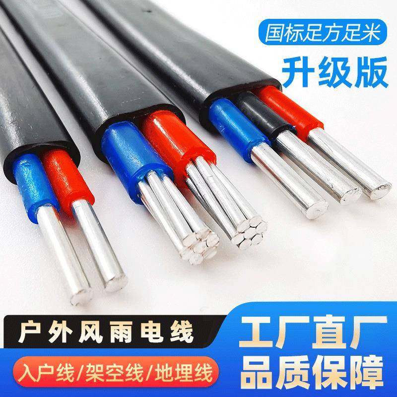 国标户外2芯电线3芯6平方铝线10平电缆线16平方铝线护套家用风雨,特色手工艺,其他特色工艺品,淘宝优惠券,粉丝福利购,淘宝优惠卷