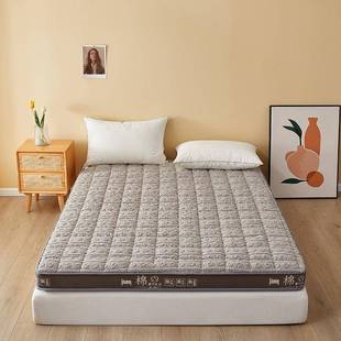 直销 立体塔芙蓉纯色床垫 畅销单双人高弹加厚床褥 新款