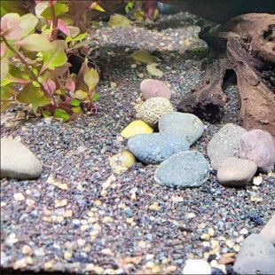 青红色雨林沙鱼缸底砂雷龙发色造景底沙青灰粗砂棕黑偏暗棕黑颗粒