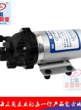 正奥泵业DP-35微型24V塑料耐腐蚀电动隔膜泵