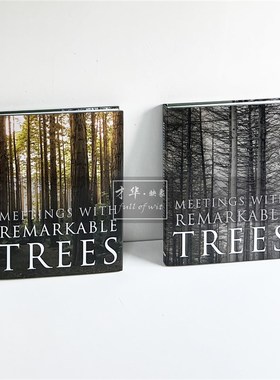 绿色自然风景大树摄影系列主题英文真书样板间会所侘寂软装饰品