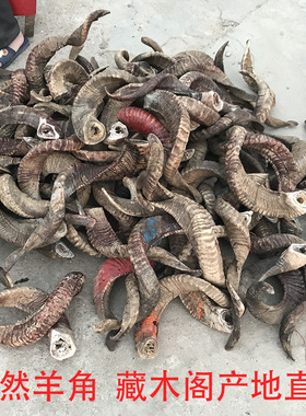 天然绵羊角原料刮痧板羊角梳原料山羊角原料中药 摆件DIY饰品