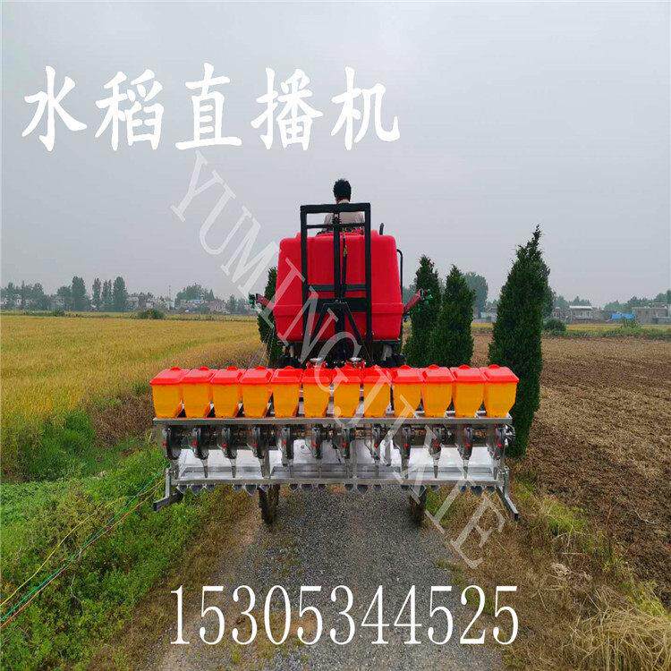 新型自动水稻播种机厂家供应免育秧型稻子直播机12行水稻点播机