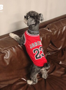 QB宠物狗狗乔dan篮球背心红色雪纳瑞衣服夏装薄款泰迪法斗篮球衣