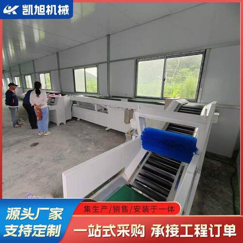 无损伤水果自动筛选机双线电子选果设备脐橙洗果风干选果流水线
