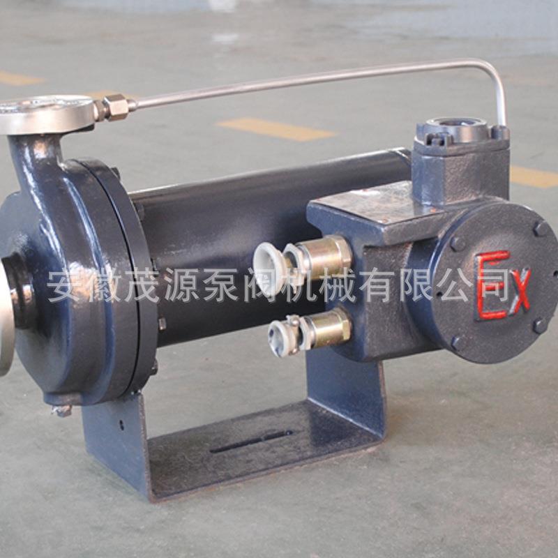 不锈钢屏蔽泵地热循环卧式屏蔽电泵基本型带轴承检测器化工屏蔽泵