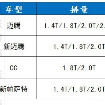 老迈腾 CC 新帕萨特1.4T 1.8T 2.0T油箱内置汽油滤芯汽油滤清器