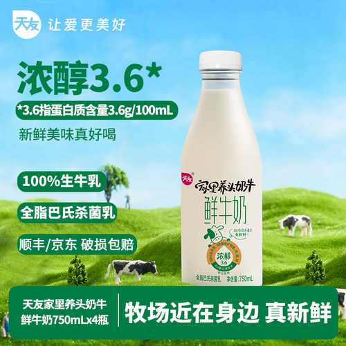 天友家里养头奶牛鲜牛奶低温奶