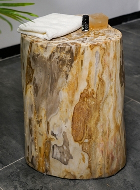 轻奢木化石摆件墩子装饰客厅边几石柱原石高档落地园子装饰品