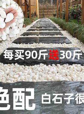 白石头小石子铺路白色q鹅卵石装饰小石头天然白石子造景庭院子铺
