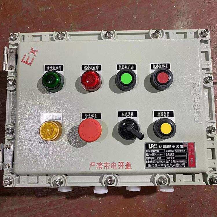 BXMD-53防爆照明动力配电箱 DZ47-25A/2P开关防爆柜