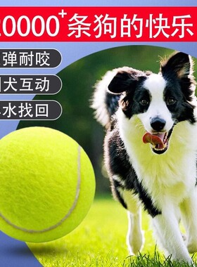 狗狗玩具球自嗨解闷神器宠物边牧金毛柯基耐咬球训练磨牙网球橡胶