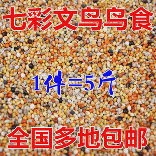 七彩文鸟/五彩文鸟 谷子黍子稗子苏子等混合鸟食饲料鸟粮 5斤