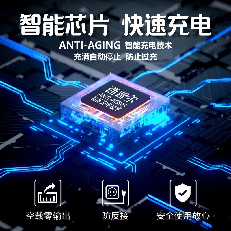 西普尔电动车充电器48v12ah欧派60v72v20ah新日三线金箭防触碰