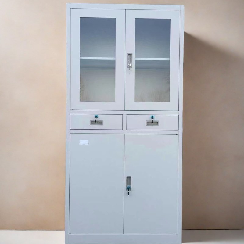 铁皮柜文件柜档案资料玻璃门带抽屉储物更衣柜钢制柜子凭证办公室