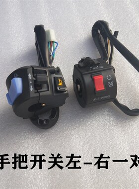 三轮摩托车隆鑫125/110/150通用FXD125把座开关手把开关总成配件