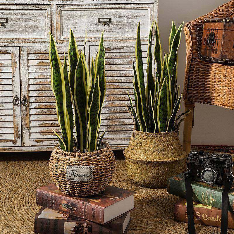 北欧仿真金边虎皮兰盆栽客厅家居造景装饰假绿植龙舌兰盆景摆件,清洗/食品/商业设备,风口/风叶/风机配件,淘宝优惠券,粉丝福利购,淘宝优惠卷