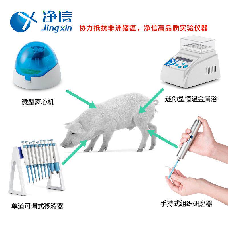 非洲猪瘟检测仪离心机干式恒温器组织研磨器移液器仪动物疫情检测