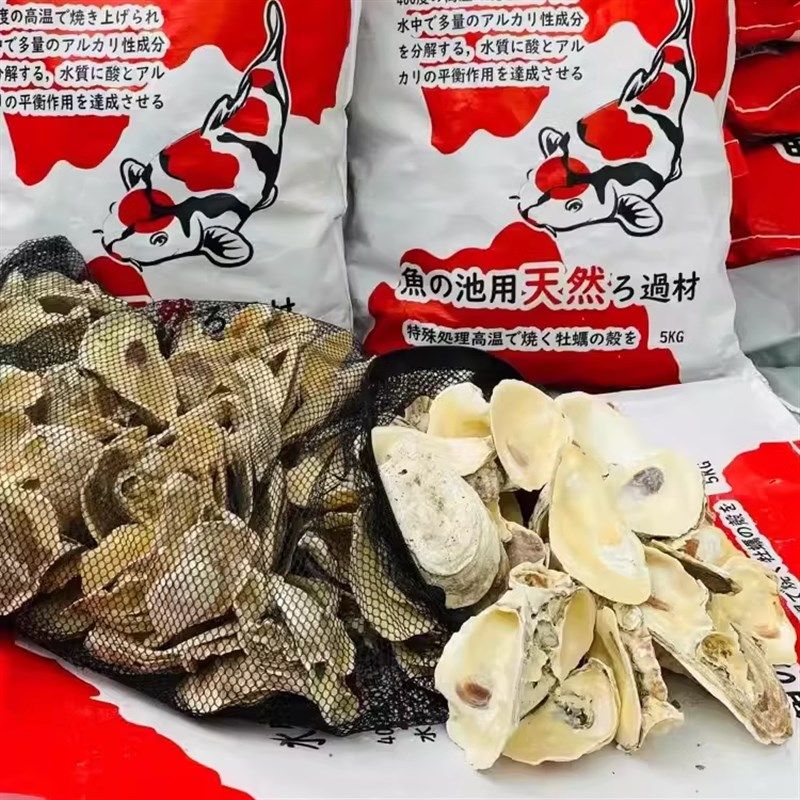 蚝壳鱼池过滤材料天然高温煅烧牡蛎壳锦鲤池滤材生稳定PH值烧过