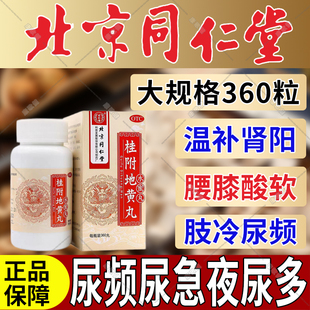 北京同仁堂桂附地黄丸正品官方旗舰店浓缩丸中成药尿频尿急夜尿多