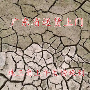 种花塘泥广东地区种菜园有机天然种植土肥沃淤泥花卉绿植园艺土壤