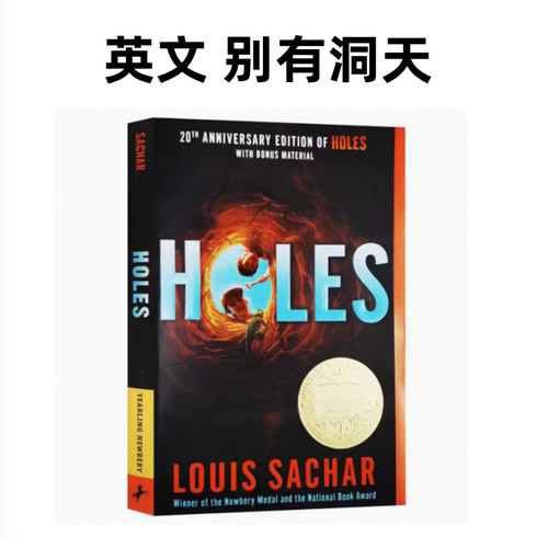 Holes洞别有洞天青少年文学