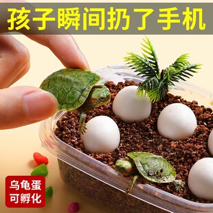 六一儿童节男孩生日礼物12岁的男童10多实用6女高级感8男生小学生