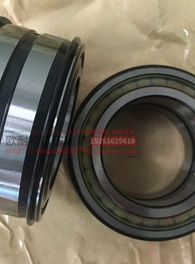 密封双列满装圆柱滚子轴承NNF5040 SL045040 NNF5044 SL045044 PP