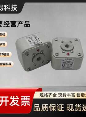 170M6408 170M6409 170M6410 170M6411 170M6412全新伊顿熔断器