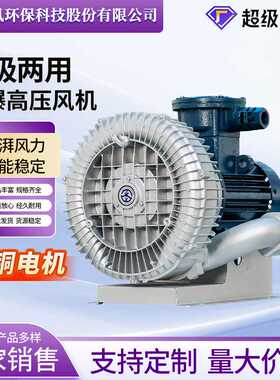 防爆高压鼓风机防爆等级DIIBT4/DIICT4 工业高压漩涡气泵现货