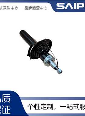 适用大众3C0413031AG，3C0413031AH，3C0413031AJ前减震器1.8T/粗