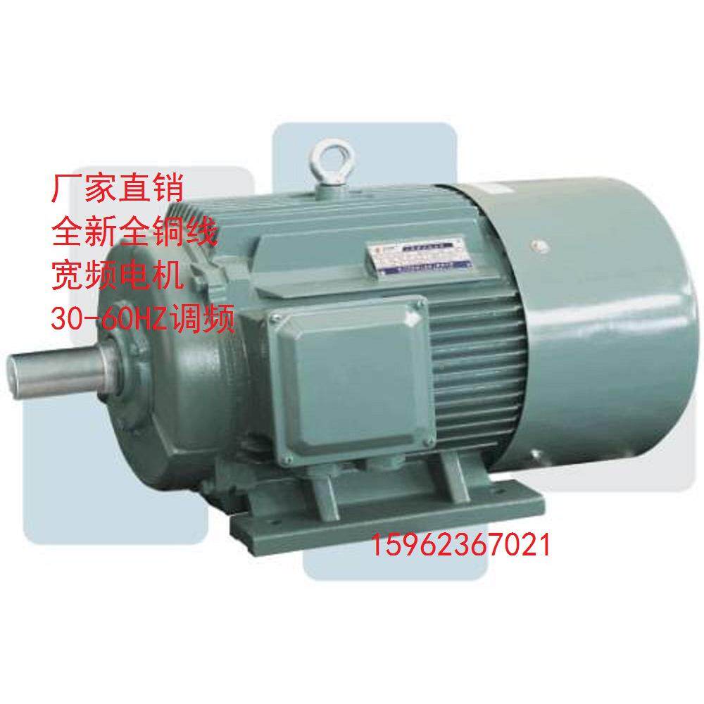厂家供应宽频电机YP2-315M-4-12W调频机1瓦32YP2-315M千3纯电铜线